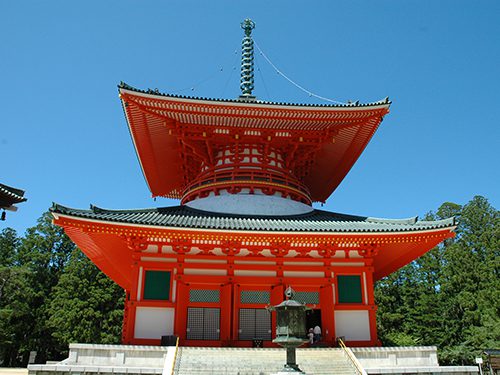 高野山と紀州杉の森